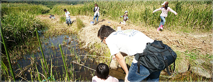 写真「楽しい日曜日（ザリガニ釣り）」