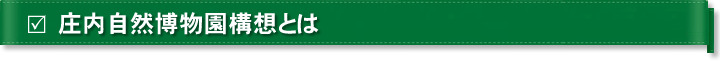 庄内自然博物園構想とは