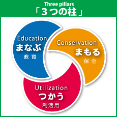 ３つの柱