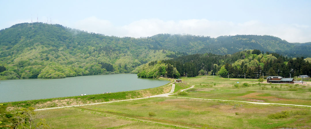 都沢湿地俯瞰写真