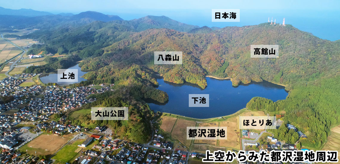 都沢湿地周辺俯瞰写真