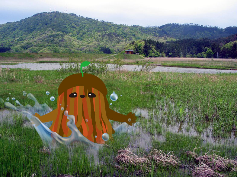 どろっぱの誕生