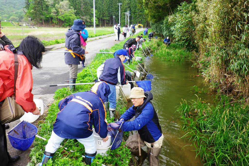 水辺のいきもの探し画像