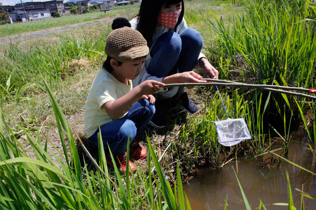 ザリガニ釣り画像