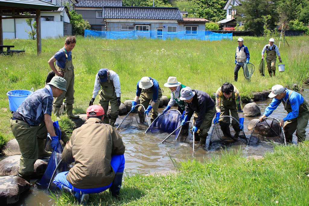 外来生物駆除画像