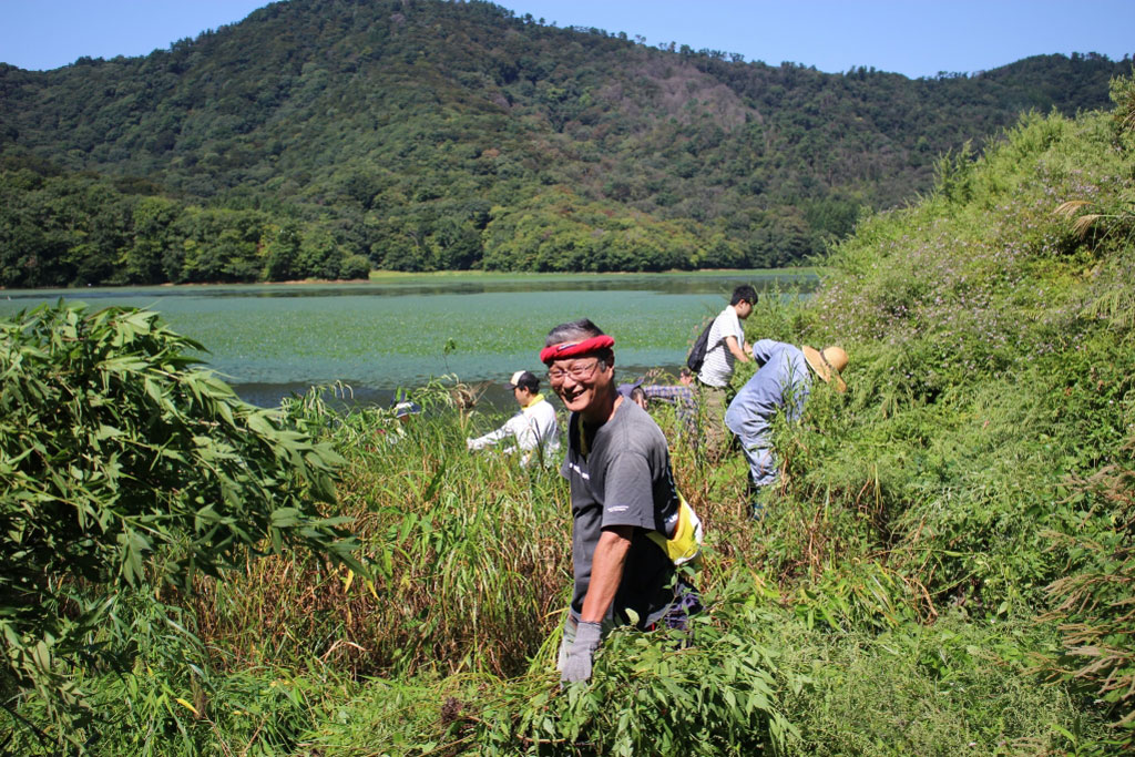 外来植物駆除画像