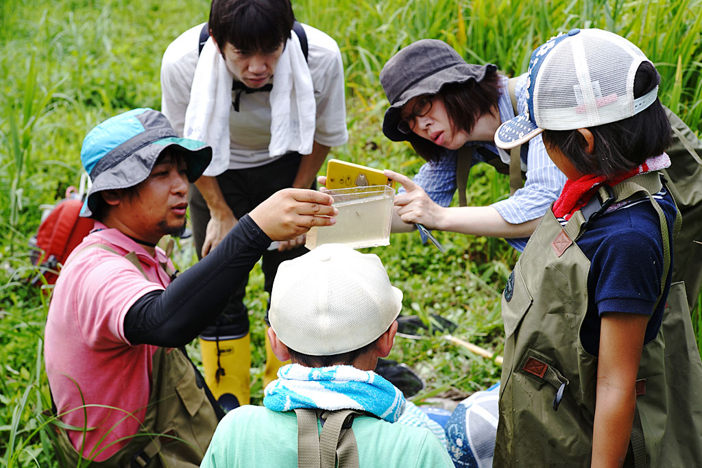 水生生物観察会画像