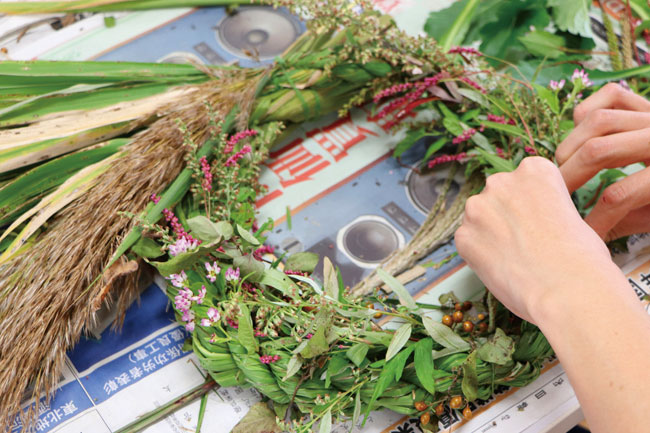 マコモリース画像